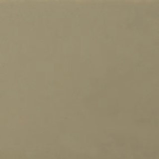 Picture of Daltile - Natural Hues 2.25 x 8 Birch