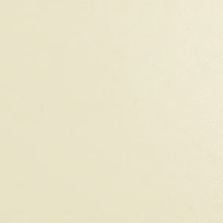 Picture of Daltile - Natural Hues 2.25 x 8 Ivory