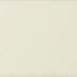 Picture of Daltile - Natural Hues 2.25 x 8 Lace