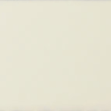 Picture of Daltile - Natural Hues 2.25 x 8 Lace