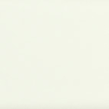 Picture of Daltile - Natural Hues 2.25 x 8 Pearl White