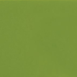 Picture of Daltile - Natural Hues 2.25 x 8 Fern