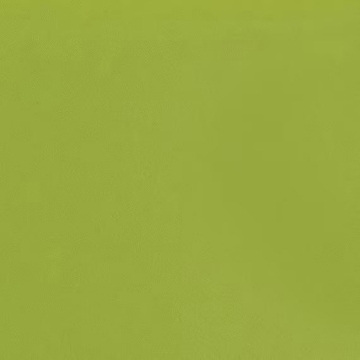 Picture of Daltile - Natural Hues 2.25 x 8 Kiwi