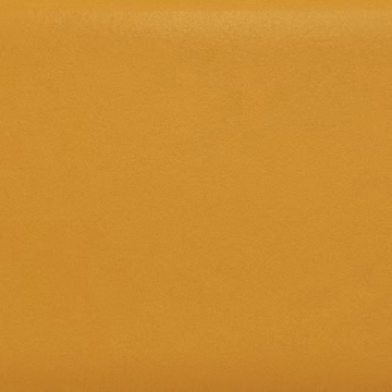 Picture of Daltile - Natural Hues 2.25 x 8 Dijon