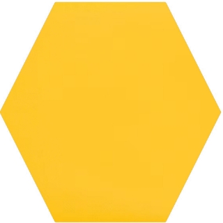 Picture of Daltile - Natural Hues Hexagon Daisy