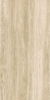 Picture of Elysium - Appia 12 x 24 Polished Vein Cut Beige