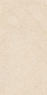 Picture of Elysium - Biotech 24 x 48 Crema Stone Nat