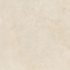 Picture of Elysium - Biotech 48 x 48 Crema Stone R+PTV