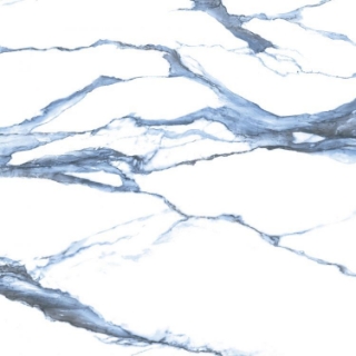 Picture of Elysium - Calacatta Blue 48 x 48 Blue Matte