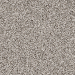 Picture of Shaw Contract - Prepare Versatile