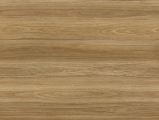 Picture of Six Degrees - Compass 6 x 48 5mm Wilmington