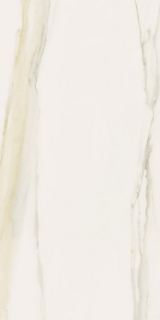 Picture of Elysium - Classici 12 x 24 Calacatta Gold