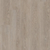 Picture of Shaw Builder - Conway Warm Taupe