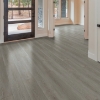 Picture of Shaw Builder - House Hearthstone Grey