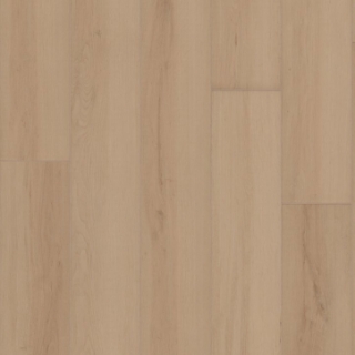 Picture of Shaw Builder - Radiant Living Champagne