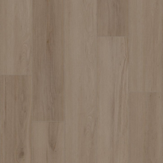 Picture of Shaw Builder - Radiant Living Mushroom