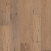 Picture of Shaw Builder - Temporal Sand Dollar Oak