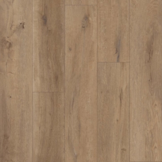 Picture of Shaw Builder - Topflight Goldin Oak