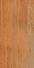 Picture of Elysium - Dripart 12 x 24 Copper
