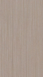 Picture of Elysium - Horizon 12 x 24 Grey