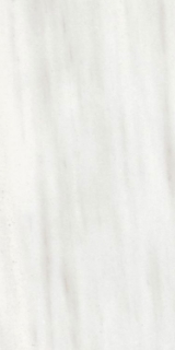 Picture of Elysium - Origines 12 x 24 Glossy Ombre Doree