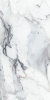 Picture of Elysium - Origines 24 x 48 Glossy Argent