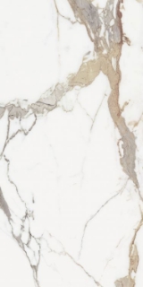 Picture of Elysium - Origines 24 x 48 Matte Or