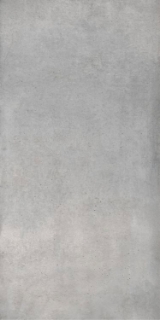 Picture of Elysium - Plain 30 x 60 Cinder