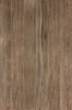 Picture of Elysium - Selection Oak 6 x 36 Brown