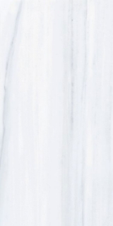 Picture of Elysium - Dolomite Supreme 12 x 24 Dolomite Supreme Matte