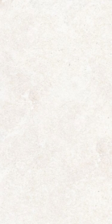 Picture of Elysium - OL Overland 12 x 24 Matte Limestone Bianco