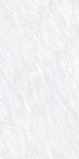 Picture of Elysium - OL Overland 12 x 24 Polished Vivid White