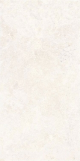 Picture of Elysium - OL Overland 24 x 48 Matte Limestone Bianco