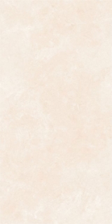 Picture of Elysium - OL Overland 24 x 48 Matte Marfil