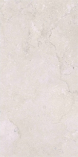 Picture of Elysium - OL Overland 24 x 48 Matte Port Land Stone Bianco
