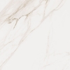 Picture of Elysium - Omnia 48 x 48 Calacatta Levigato