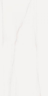 Picture of Elysium - Prestigio 12 x 24 Matte Dolomite Soft