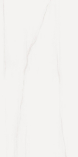 Picture of Elysium - Prestigio 12 x 24 Polished Dolomite Lucido