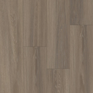 Picture of Happy Feet Intl. - Broadway Westminster