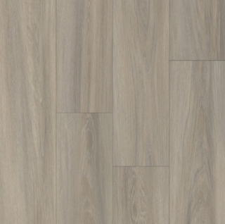 Picture of Happy Feet Intl. - Broadway Normandy