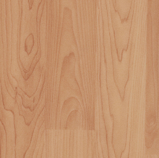 Picture of Roppe - Shockguard Multi-Use Wood Golden