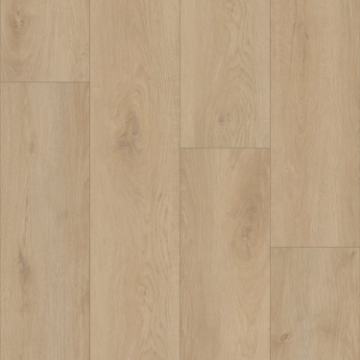 Picture of Shaw Floors - Homeward Wheatfield