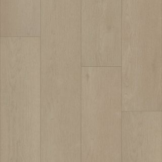 Picture of Shaw Floors - Homeward Desert Sand