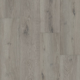 Picture of Shaw Floors - Homeward Tempest Grey