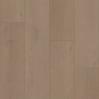 Picture of Shaw Floors - Homeward Saddle Brown