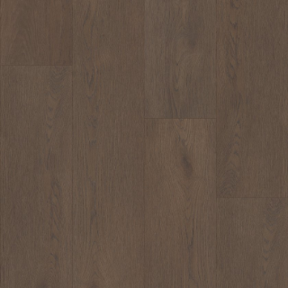 Picture of Shaw Floors - Homeward Midnight Mocha