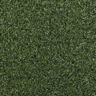 Picture of Centaur - Drive Turf Green