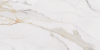 Picture of Roca - Calacatta Oro 24 x 48 Matte Marble
