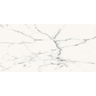 Picture of Roca - Slabs 24 x 48 Polished Carrara White
