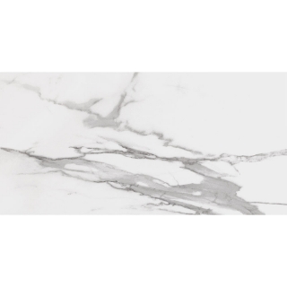 Picture of Roca - Slabs 24 x 48 Polished Calacatta Light